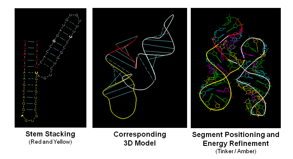 Secondary and tertiary structures as viewed with RNA2D3D and Tinker