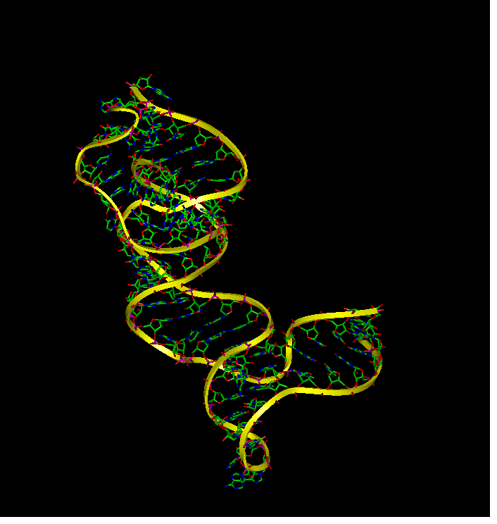 Animated tertiary structre of 16s rRNA