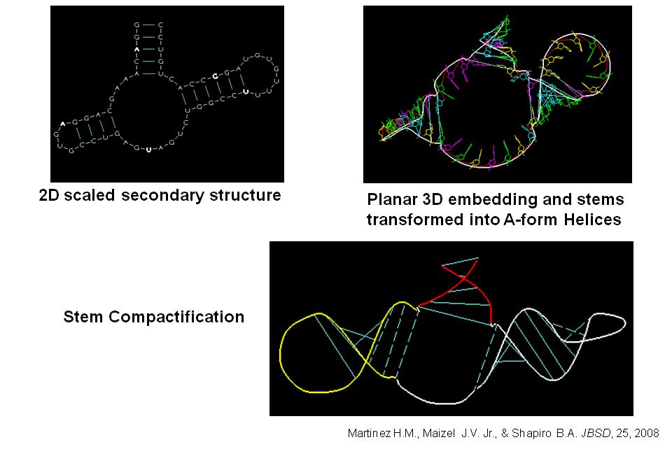 Examples of secondary and tertiary structures as seen with RNA2D3D