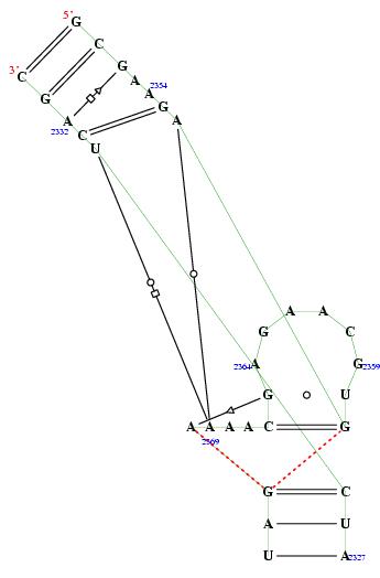Hit refresh for a different example secondary structure of junction 354
