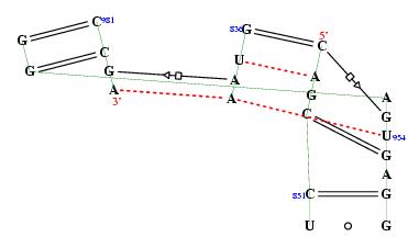 secondary structure of junction 4734