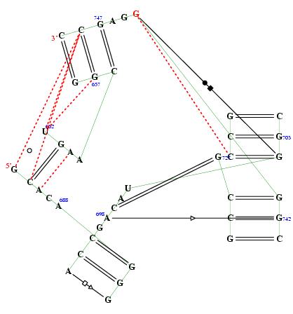 Hit refresh for a different example secondary structure of junction 7539